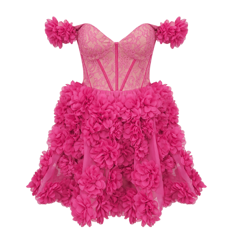 Aleki Mini Dress