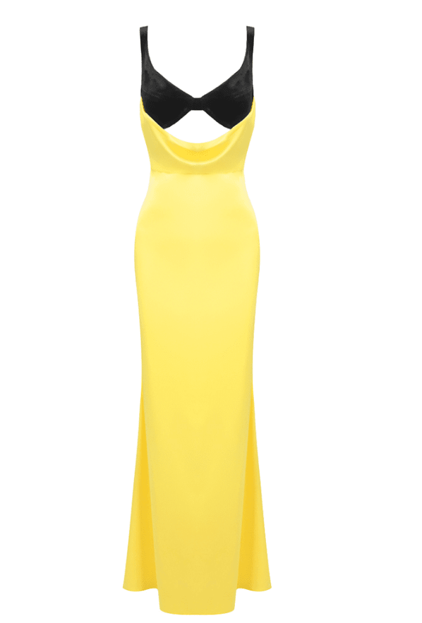 Raven Maxi dress